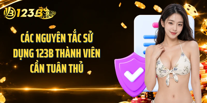 Các nguyên tắc sử dụng 123B thành viên cần tuân thủ