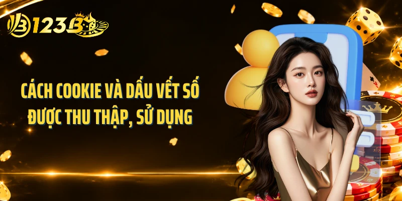 Cách cookie và dấu vết số được thu thập, sử dụng